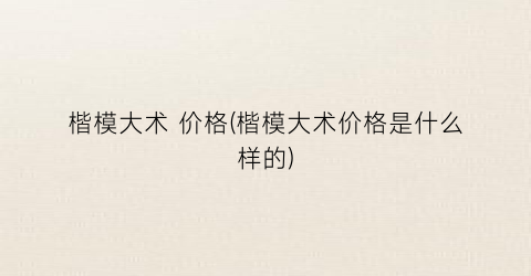 楷模大术 价格(楷模大术价格是什么样的)